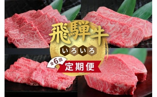 飛騨牛 いろいろ 定期便 毎月お届け全6回 食べ切り 約2人前｜牛肉 セット 牛肉セット 限定 食べ比べ アソート 国産 和牛 ブランド牛 飛騨 牛肉ギフト 飛騨牛ギフト 飛騨牛赤身すきやき 牛肉赤身 飛騨牛しゃぶしゃぶ 赤身飛騨牛 飛騨牛 牛肉 すきやき しゃぶしゃぶ 赤身 飛騨牛赤身 飛騨牛すき焼き 飛騨牛スキヤキ 牛肉すきやき すき焼き すき焼き用※離島への配送不可