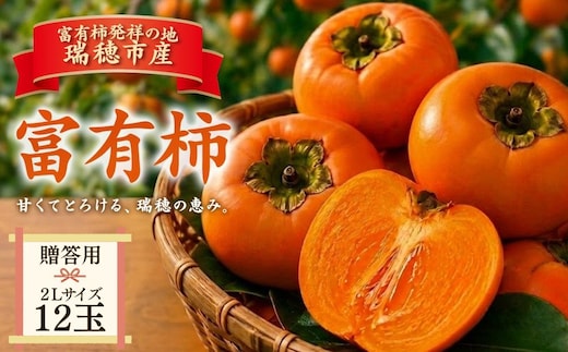 富有柿 贈答用 2L 12玉 | 柿 富有柿 かき カキ フルーツ 果物 贈答 贈答用 プレゼント ギフト 贈り物 秋 2L 2Lサイズ 人気 産地直送 岐阜 瑞穂市 送料無料 ※2026年11月～発送