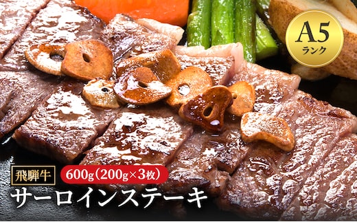 飛騨牛 牛肉 肉 ステーキ サーロイン 600g 200g×3枚 A5 和牛 【岐阜県瑞穂市】