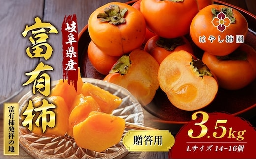 はやし柿園の贈答用富有柿3.5kg Lサイズ 14個｜高糖度 濃厚 秋の味覚 ギフト ※2025年11月中旬頃より順次発送予定 ※離島への配送不可