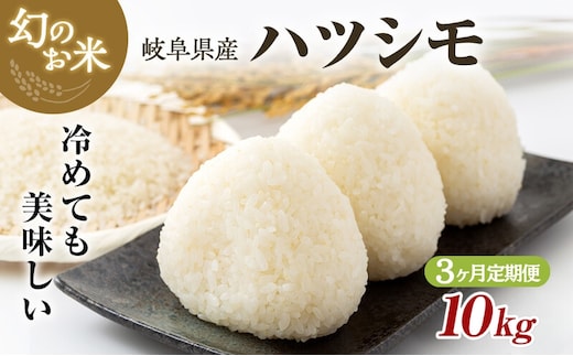 【定期便】岐阜県産 ハツシモ 10kg (3ヵ月連続お届け)｜米 お米 コメ 白米 精米 ハシツモ 定期便 岐阜 瑞穂市 ※離島への配送不可 ※2025年11月下旬頃より順次発送予定