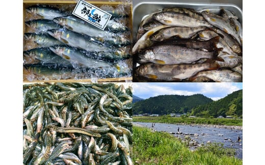 清流長良川の恵みセット