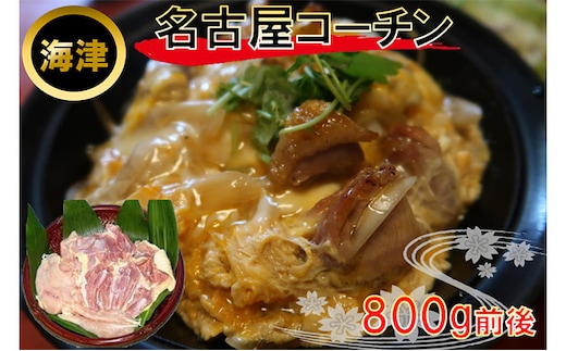 生きいき！ 名古屋コーチン お肉 鶏肉 