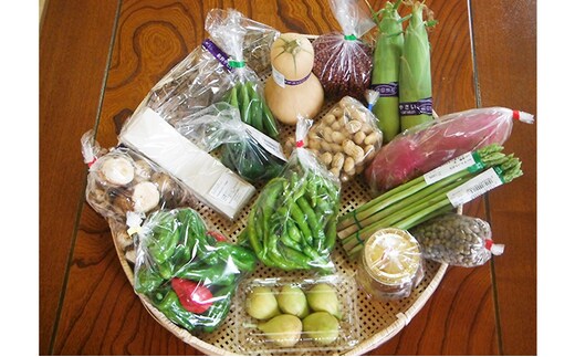 採れたて！旬の新鮮野菜 詰め合わせ セット 詰合せ 野菜セット 