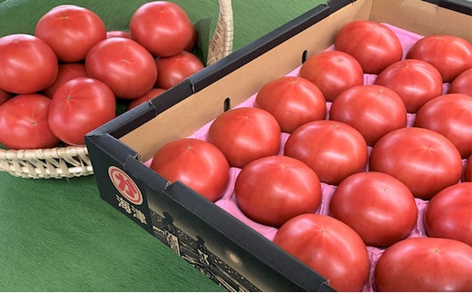 トマト 野菜 とまと 