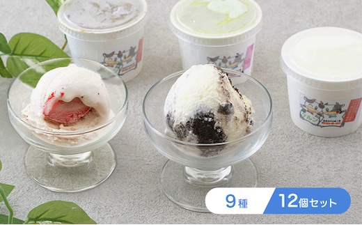 オリジナル ジェラート アイス 12個 セット 9種 アイスクリーム スイーツ デザート バニラ チョコ フルーツ ミルク 抹茶 いちご お菓子 菓子 カップ 