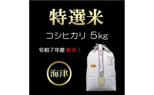 【期間限定】新米！特選米コシヒカリ（5kg） お米 5kg 