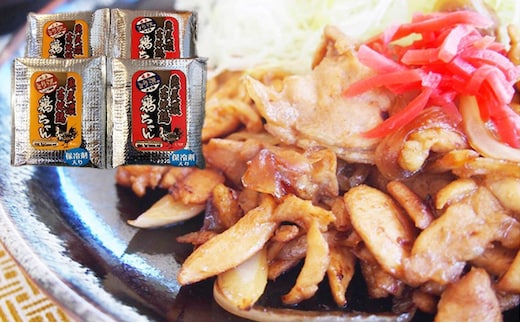 とり沢の奥美濃古地鶏 鶏ちゃんセット 加工品 惣菜 冷凍 郷土料理 若鶏 味噌 醤油 味付 お鍋 国産 