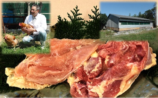 神代の味 奥美濃古地鶏肉セット お肉 モモ むね肉 もも肉 冷凍 オレイン酸 まろやか 