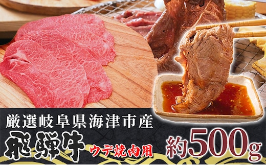 【飛騨牛】海津市産ウデ焼肉オリジナルカット 【配達不可：離島】 お肉 牛肉 焼肉用 バーベキュー ブランド牛 国産 岐阜県産 肩 赤身 サシ 霜降り 濃厚 旨味 脂身が少ない ダイエット おうち焼肉 