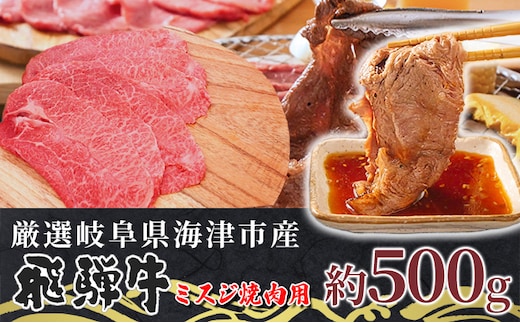 【数量限定】【飛騨牛】海津市産ミスジ焼肉オリジナルカット 【配達不可：離島】 お肉 牛肉 焼肉用 バーベキュー 国産 ブランド牛 岐阜県産 希少部位 柔らかい サシ 霜降り 口どけが良い 脂 バランス おうち焼肉 