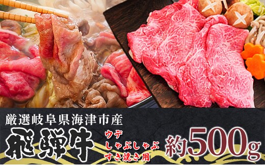 【飛騨牛】海津市産ウデしゃぶしゃぶすき焼き用スライス 【配達不可：離島】 お肉 牛肉 国産 岐阜県産 ブランド牛 鍋 牛鍋 肩 赤身 サシ 霜降り 濃厚 旨味 脂身が少ない ダイエット 肉じゃが 炒め物 