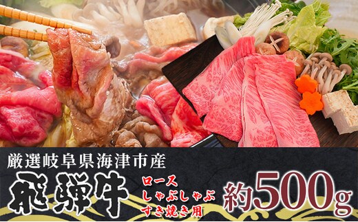 【飛騨牛】海津市産ロースしゃぶしゃぶすき焼き用スライス 【配達不可：離島】 お肉 牛肉 国産 岐阜県産 ブランド牛 柔らかい サシ 霜降り とろける 甘い脂 旨味 肉じゃが 炒め物 