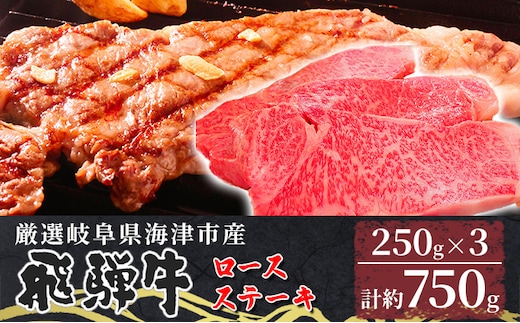 【飛騨牛】海津市産ロースステーキ250g×3 【配達不可：離島】 お肉 牛肉 ステーキ用 国産 岐阜県産 ブランド牛 夕飯 記念日 ディナー 柔らかい サシ 霜降り ボリューミー とろける 旨味 