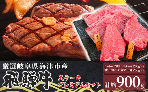 【数量限定】【飛騨牛】海津市産ステーキプレミアムセット 【配達不可：離島】 お肉 牛肉 ステーキ用 国産 岐阜県産 ブランド牛 夕飯 記念日 ディナー 希少部位 赤身 とろける 柔らかい サシ 霜降り ボリューミー 