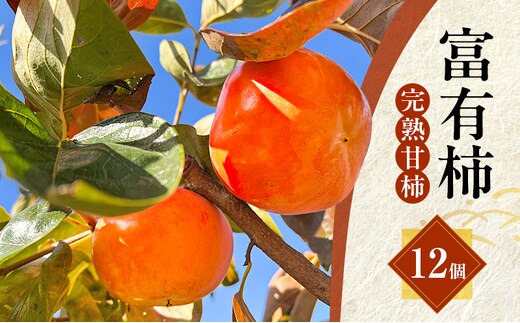 ハリヨファームの 富有柿 （完熟甘柿） 12個 柿 完熟 甘柿 果物 果実 秋の味覚 フルーツ おやつ デザート 旬 除草剤不使用 有機肥料使用 国産 岐阜県産 産地直送 