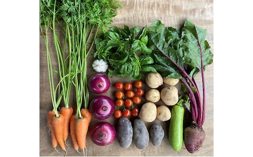 季節の野菜セット6か月連続お届け 栽培期間中 無農薬、無科学肥料
