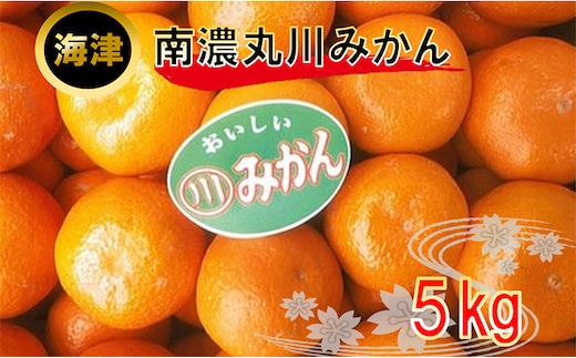 南濃丸川みかん 5kg 果物類 柑橘類 ミカン くだもの フルーツ 