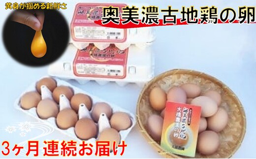 卵 定期便 3ヶ月 神代の味の再現 奥美濃古地鶏の卵 鶏卵 たまご 玉子 お楽しみ 