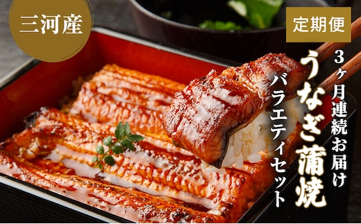 うなぎ蒲焼バラエティセット（三河産）【3ケ月連続お届け】 魚貝類 ウナギ 鰻 