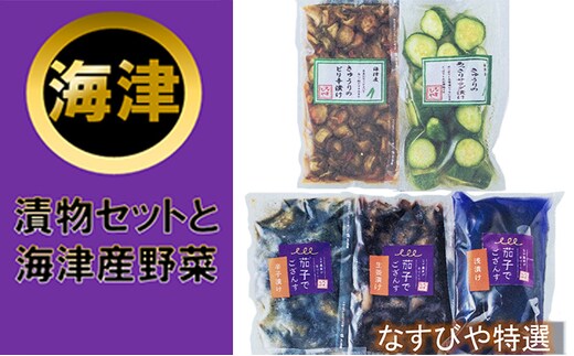 海津 なすびや特選漬物セットと海津産野菜 発酵食品 詰合せ 