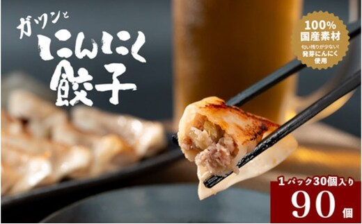 発芽にんにく餃子30個入り3パック 餃子 にんにく にんにくたっぷり 国産にんにく 発芽にんにく 冷凍 臭わない 栄養価抜群 スタミナ 免疫アップ おつまみ おかず 総菜 餃子専門店 ぎょうざ 工場直売 大量 まとめ買い 