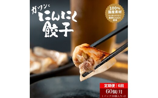 【6か月 定期便 】発芽にんにく餃子30個入り2パック 餃子 にんにく にんにくたっぷり 国産にんにく 発芽にんにく 冷凍 臭わない 栄養価抜群 スタミナ 免疫アップ おつまみ おかず 総菜 餃子専門店 工場直売