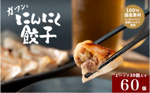 発芽にんにく餃子30個入り2パック 餃子 にんにく にんにくたっぷり 国産にんにく 発芽にんにく 冷凍 臭わない 栄養価抜群 スタミナ 免疫アップ おつまみ おかず 総菜 餃子専門店 ぎょうざ 工場直売 大量 まとめ買い 