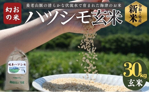 「 幻の米 」 ハツシモ 玄米 30kg 