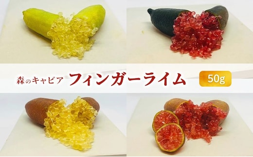 フィンガーライム 50g 森のキャビア キャビアライム フルーツキャビア