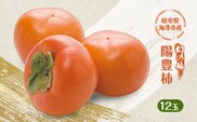 柿 果物 フルーツ 岐阜 幻の柿 陽豊柿 12玉 【海津市】 果物類 かき 
