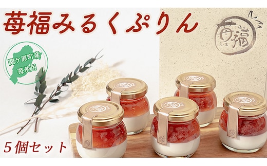 【関ケ原町産苺福使用】苺福みるくぷりん 5個セット