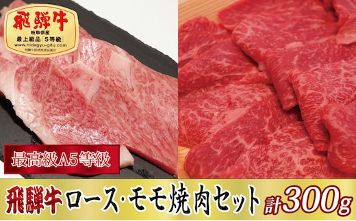 【化粧箱入り・最高級A5等級】飛騨牛ロース・モモ焼肉セット計300g