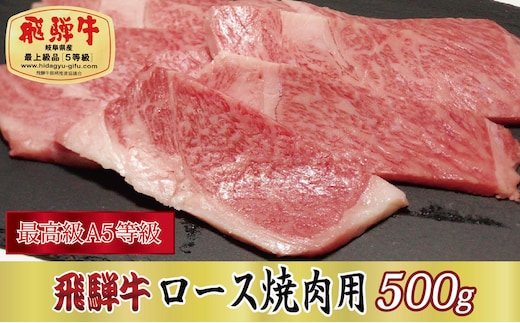 最高級A5等級】飛騨牛ロース焼肉用500g | dショッピングふるさと納税百選