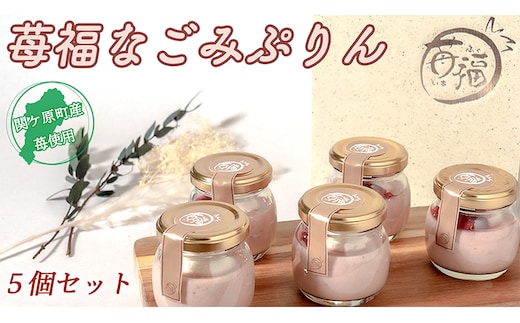 【関ケ原町産苺福使用】苺福なごみぷりん 5個セット