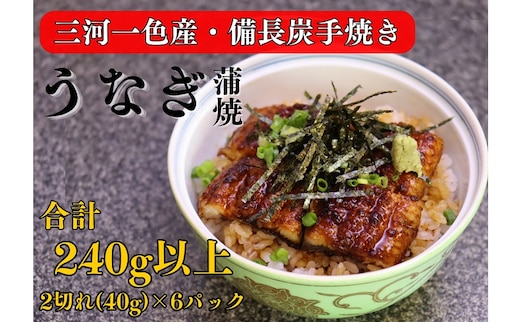 三河一色産 備長炭手焼き 昭和9年創業 魚しげのこだわりのうなぎ 蒲焼 2切れ×6パック