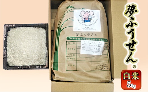 輪之内町産 夢ふうせん(R) 白米5kg