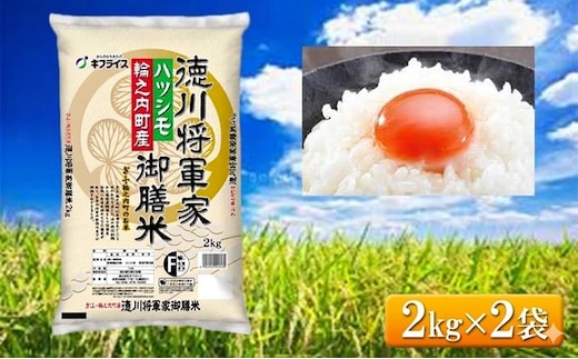 7年産 岐阜県産 ハツシモ （徳川将軍家御膳米） 2kg×2袋 米 コメ 精米 白米 大粒 おいしい ごはん おにぎり お弁当 岐阜県 輪之内町