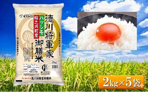 7年産 岐阜県産 ハツシモ （徳川将軍家御膳米） 2kg×5袋 米 コメ 精米 白米 大粒 おいしい ごはん おにぎり お弁当 岐阜県 輪之内町