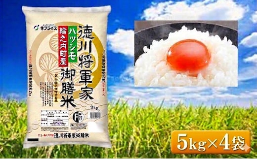 7年産 岐阜県産 ハツシモ （徳川将軍家御膳米） 5kg×4袋 米 コメ 精米 白米 大粒 おいしい ごはん おにぎり お弁当 岐阜県 輪之内町