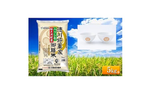 7年産 岐阜県産 ハツシモ （徳川将軍家御膳米） 5kg + 夫婦茶碗 米 コメ 精米 白米 大粒 おいしい ごはん おにぎり お弁当 岐阜県 輪之内町