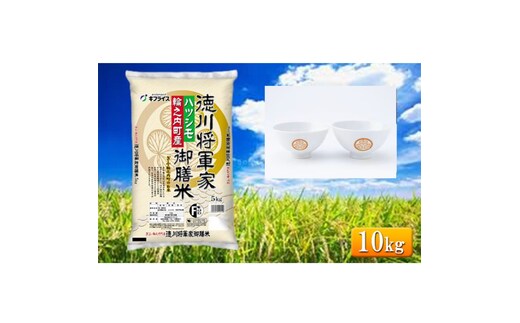 7年産 岐阜県産 ハツシモ （徳川将軍家御膳米） 10kg + 夫婦茶碗 米 コメ 精米 白米 大粒 おいしい ごはん おにぎり お弁当 岐阜県 輪之内町