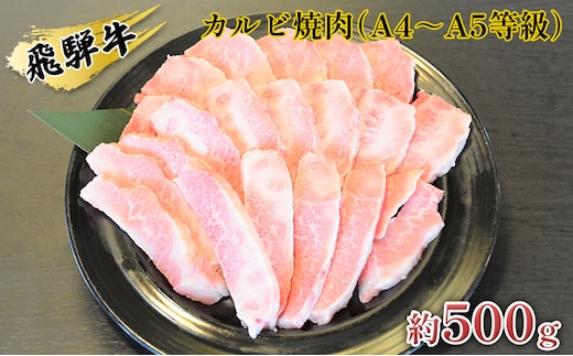 飛騨牛カルビ焼肉（A4～A5等級）約500g（約250g×2パック） お肉 牛肉 バーベキュー 