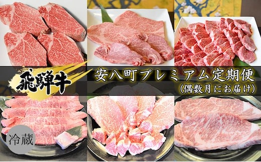 飛騨牛 安八町プレミアム定期便（偶数月にお届け） お肉 牛肉 国産 お家焼肉 シャトーブリアン ロース ヒレ 赤身 サイコロステーキ 肩ロース すき焼き用 サーロイン ステーキ 
