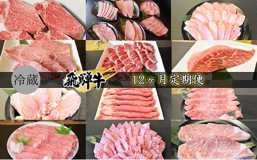 飛騨牛12ヶ月定期便 牛肉 国産 シャトーブリアン 6種盛り カルビ ロース ヒレ 赤身 もも ブロック ステーキ サイコロ すき焼き しゃぶしゃぶ 肩ロース リブロース サーロイン 