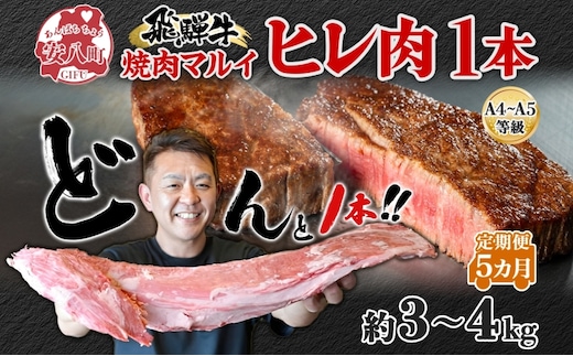 飛騨牛 ヒレ肉 ブロック A4～A5等級 1本5ヵ月定期便約3～4kg 3割×5 ヒレ シャトーブリアン 肉 牛肉 ブランド牛 お肉 和牛 贅沢 お取り寄せ ご褒美 ステーキ 豪華 グルメ 焼肉 BBQ パーティー ギフト 贈り物 自家用 贈答用 焼肉マルイ 岐阜県 【 安八町 】