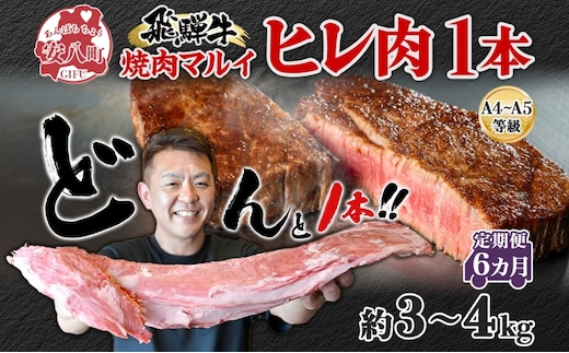 飛騨牛 ヒレ肉 ブロック A4～A5等級 1本6ヵ月定期便約3～4kg 3割×6 ヒレ シャトーブリアン 肉 牛肉 ブランド牛 お肉 和牛 贅沢 お取り寄せ ご褒美 ステーキ 豪華 グルメ 焼肉 BBQ パーティー ギフト 贈り物 自家用 贈答用 焼肉マルイ 岐阜県 【 安八町 】