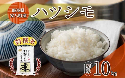 R7年産 特選米 ハツシモ 精米 10kg ×1袋 お米 米 白米 ごはん 新米 精白米 ご飯 はつしも 令和7年産 ブランド米 低農薬 お取り寄せ 産地直送 クリーンファームまき 送料無料 岐阜県 安八町