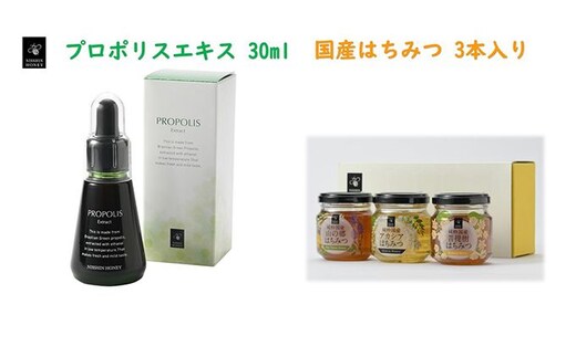 プロポリスエキス 30ml・国産はちみつ3本入り セット 天然 蜂蜜 ハチミツ 加工食品 フラボノイド 桂皮酸誘導体 百花蜜 アカシア 上品な甘み 優しい味わい 菩提樹 