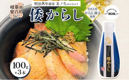  美ノ久 倭からし 100g×3本 和カラシ 和からし からし 調味料 アレンジ 香辛料 風味豊か 肉料理 野菜料理 魚料理 浅漬け 漬物 常備 すっきり 辛い 馴染みやすい 使いやすい 便利 万能 万能調味料 お取り寄せ ご当地 送料無料 岐阜県 安八町